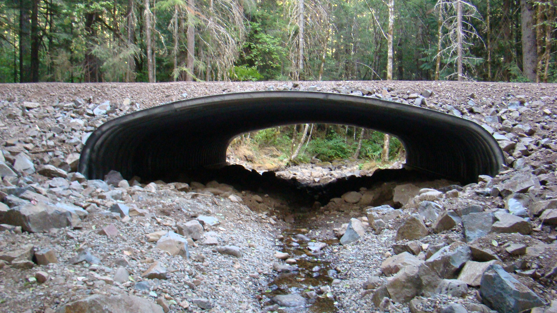 Long Creek Box Culvert 